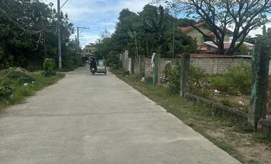 11,000sqm lot for sale in the middle of the City - San Josef Sur Cabanatuan City