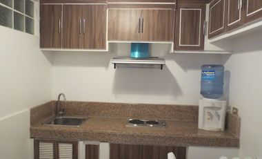 FOR RENT :  2 Bedroom Parklane Condo along HV Dela Costa