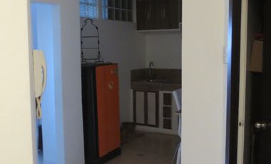 FOR RENT :  2 Bedroom Parklane Condo along HV Dela Costa