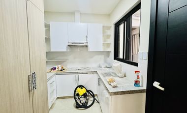 Modern Contemporary Brand New Semi Furnished House and Lot for Sale in BF Homes
