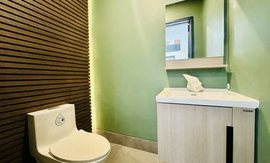 Modern Contemporary Brand New Semi Furnished House and Lot for Sale in BF Homes