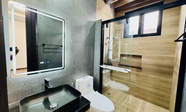 Modern Contemporary Brand New Semi Furnished House and Lot for Sale in BF Homes