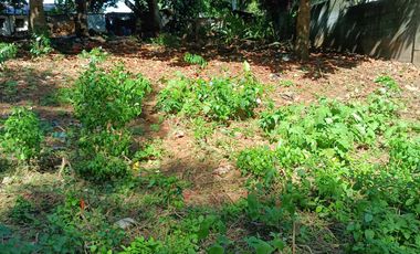 5,100sqm Residential Lot for sale in Buliran road, Antipolo City
