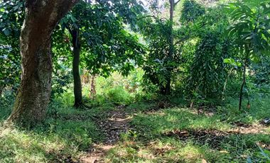 5,100sqm Residential Lot for sale in Buliran road, Antipolo City
