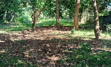 5,100sqm Residential Lot for sale in Buliran road, Antipolo City