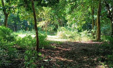 5,100sqm Residential Lot for sale in Buliran road, Antipolo City