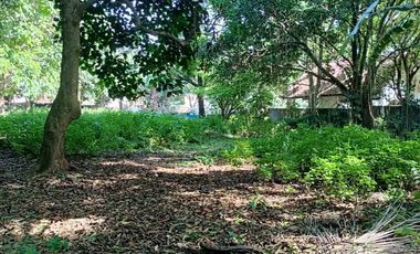 5,100sqm Residential Lot for sale in Buliran road, Antipolo City