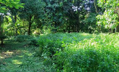 5,100sqm Residential Lot for sale in Buliran road, Antipolo City