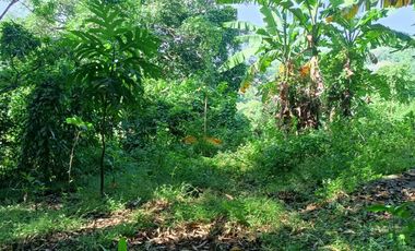 5,100sqm Residential Lot for sale in Buliran road, Antipolo City
