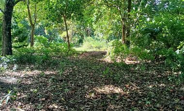 5,100sqm Residential Lot for sale in Buliran road, Antipolo City