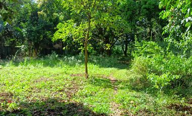 5,100sqm Residential Lot for sale in Buliran road, Antipolo City