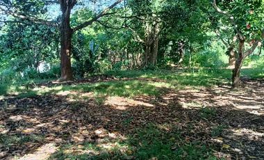 5,100sqm Residential Lot for sale in Buliran road, Antipolo City