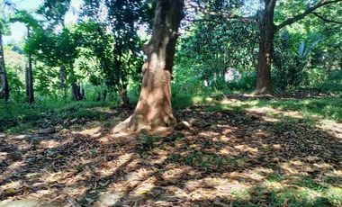 5,100sqm Residential Lot for sale in Buliran road, Antipolo City