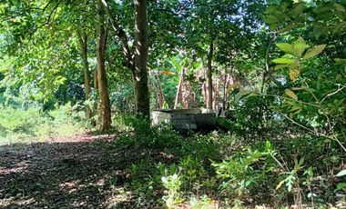 5,100sqm Residential Lot for sale in Buliran road, Antipolo City