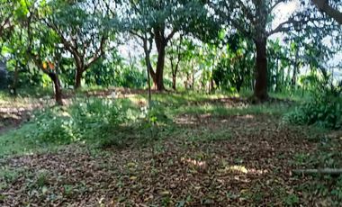 5,100sqm Residential Lot for sale in Buliran road, Antipolo City