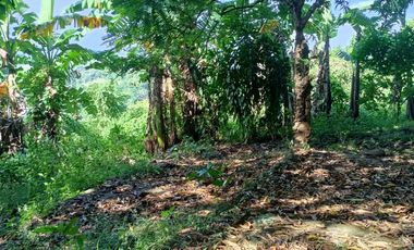 5,100sqm Residential Lot for sale in Buliran road, Antipolo City