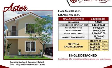 House for Sale in Southwoods Biñan City, Laguna Southbreeze Executive Homes