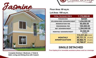 Jasmine Single Detached in South Breeze Executive Southwoods, Silcas, Villaga
