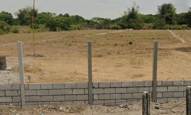 EH-1060: For Sale! 55 meters frontage Farm Lot