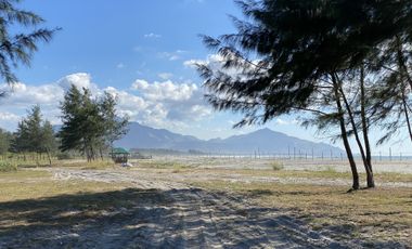 Exclusive Beach Lots in La Paz, San Nariciso, Zambales