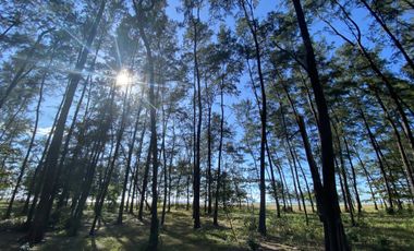 Exclusive Beach Lots in La Paz, San Nariciso, Zambales