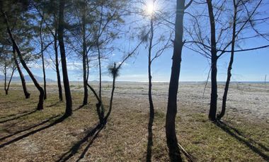 Exclusive Beach Lots in La Paz, San Nariciso, Zambales