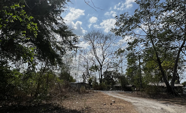 Residential Lot in Castillejos, Zambales