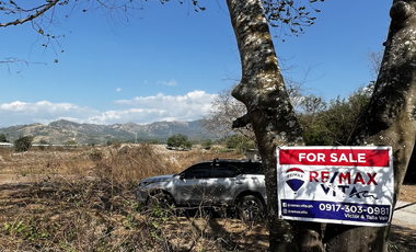 Residential Lot in Castillejos, Zambales