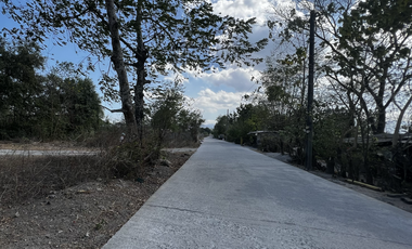 Residential Lot in Castillejos, Zambales