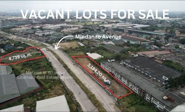 Industrial and Commercial Lots Along Mindanao Ave Extn to General Luis