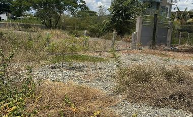 600sqm lot for Sale at H. Concepcion near Maharlika highway Cabanatuan City