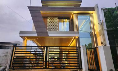 LOVELY BRAND NEW HOUSE AND LOT OS – HL0062
