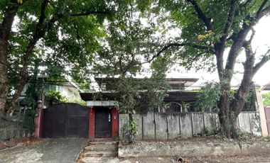 For Sale and Rent Old House and Lot in Talayan Village Quezon City