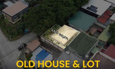 For Sale and Rent Old House and Lot in Talayan Village Quezon City