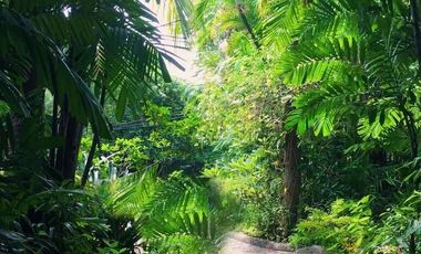 Residential Lot for Sale at Pasay City