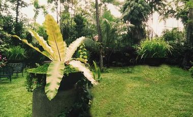 Residential Lot for Sale at Pasay City