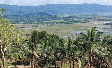 Pre-selling Mabitac, Laguna Residential Overlooking Lots for Sale