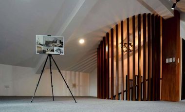 Mandaluyong Brgy. Plainview house for sale ideal for commercial residential dev