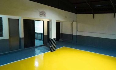 Mandaluyong Brgy. Plainview house for sale ideal for commercial residential dev