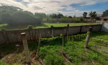 FOR SALE! House and Lot in Dumpay, Basista, Pangasinan
