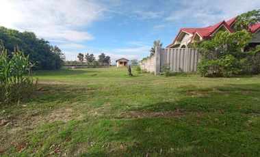 FOR SALE! House and Lot in Dumpay, Basista, Pangasinan