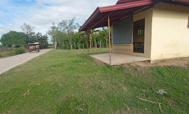 FOR SALE! House and Lot in Dumpay, Basista, Pangasinan