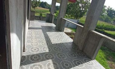 FOR SALE! House and Lot in Dumpay, Basista, Pangasinan