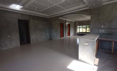 FOR SALE! House and Lot in Dumpay, Basista, Pangasinan