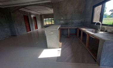 FOR SALE! House and Lot in Dumpay, Basista, Pangasinan
