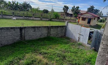 FOR SALE! House and Lot in Dumpay, Basista, Pangasinan