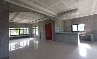 FOR SALE! House and Lot in Dumpay, Basista, Pangasinan