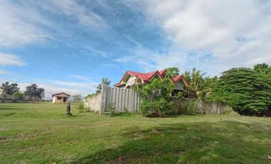 FOR SALE! House and Lot in Dumpay, Basista, Pangasinan
