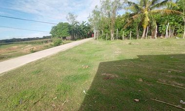 FOR SALE! House and Lot in Dumpay, Basista, Pangasinan