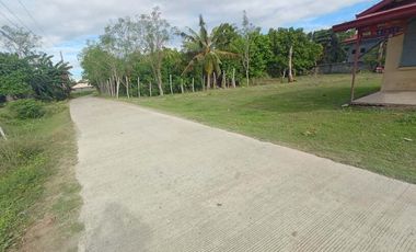 FOR SALE! House and Lot in Dumpay, Basista, Pangasinan